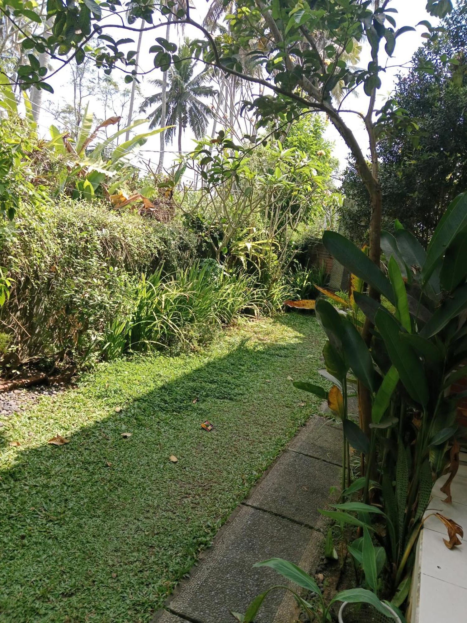 Hotel Sunrise House à Ubud Extérieur photo